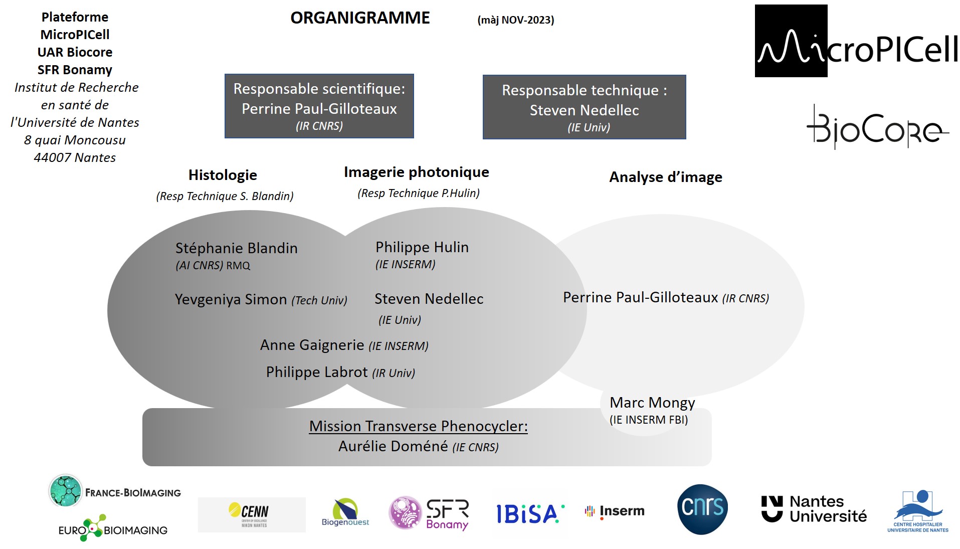 organigramme